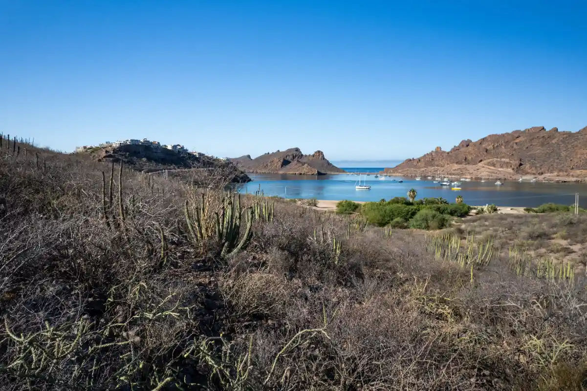 sol bajo - san bernando en sonora